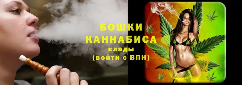 закладки  Высоцк  Бошки марихуана Ganja 